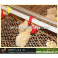 hot sale automatic water throughs for hens for chicken and broiler and breeder